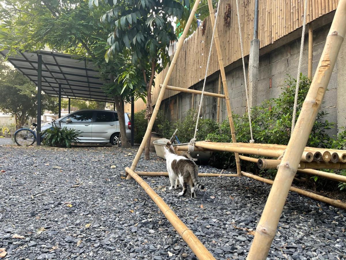 Banmai87 Guest House บ้านไม้87 เกสต์เฮ้าส์ Ayutthaya Exteriér fotografie